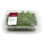 Pea Shoot Microgreens